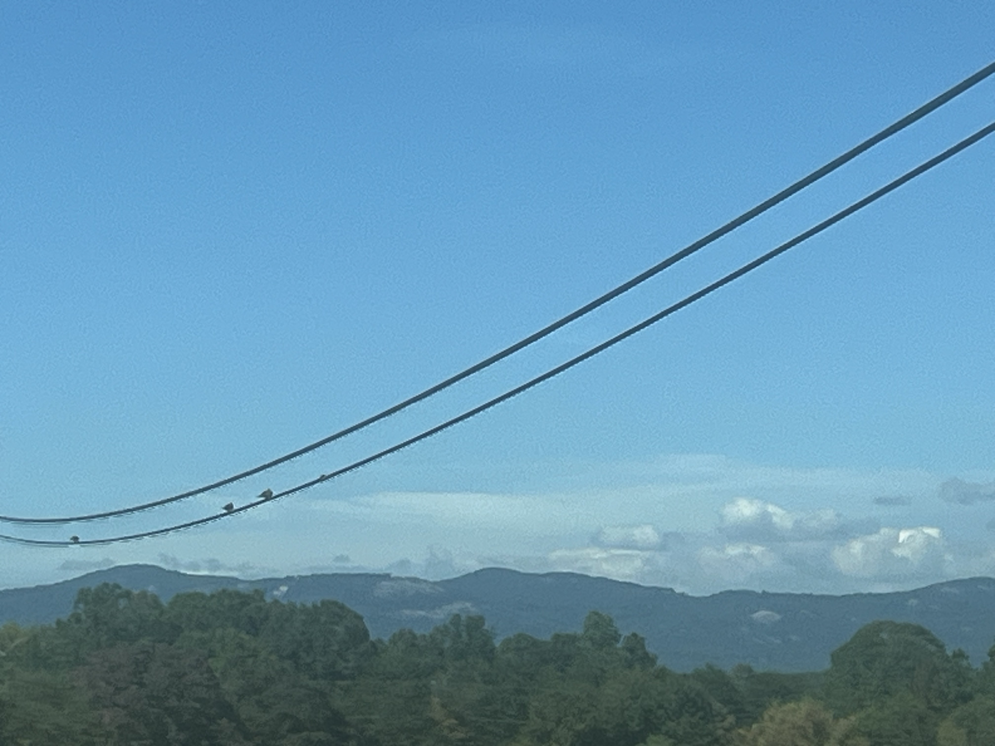 blue ridge